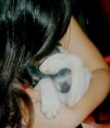 /album/fotos-fakes-com-animais/a37-jpg6/