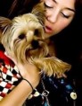 /album/fotos-fakes-com-animais/a38-jpg5/